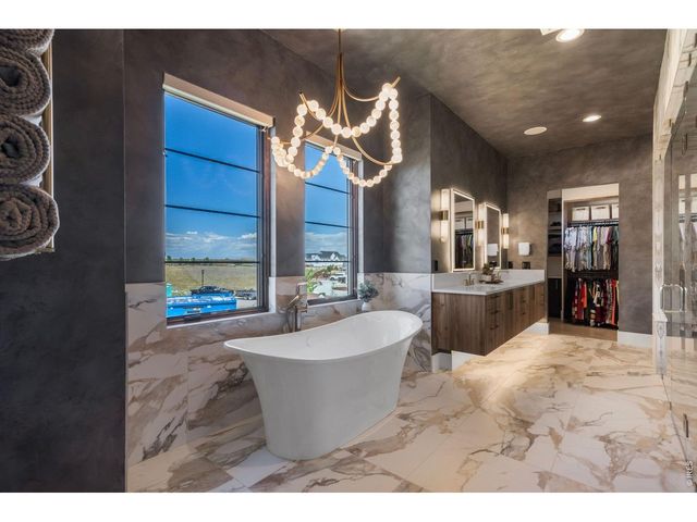1501 Flowering Tree Ct, Windsor, CO 80550