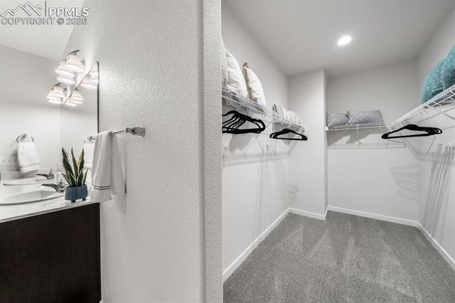 16325 Cattle Creek Court, Monument, CO 80132