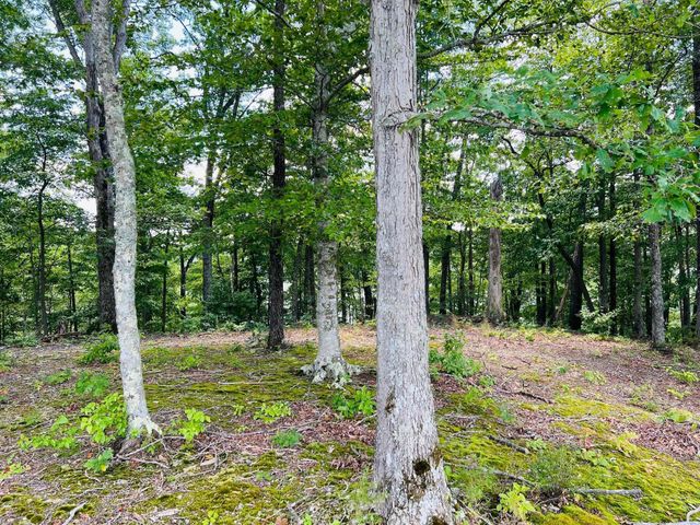 308 Dockery Road, Russell Springs, KY 42642