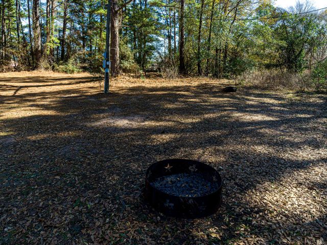 11201 County Road 203, Plantersville, TX 77363