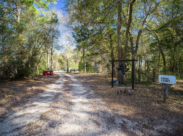 11201 County Road 203, Plantersville, TX 77363