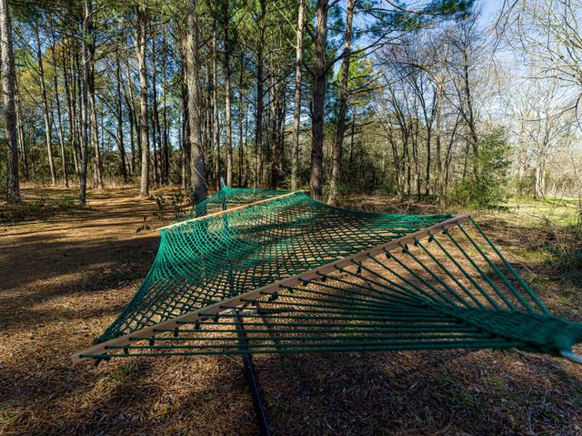 11201 County Road 203, Plantersville, TX 77363