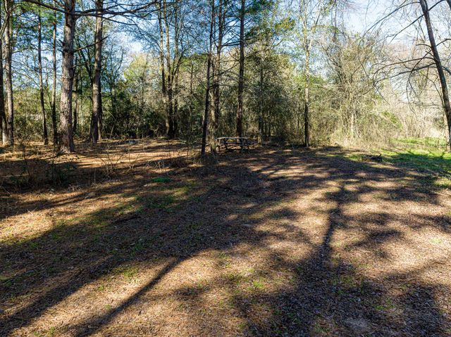 11201 County Road 203, Plantersville, TX 77363