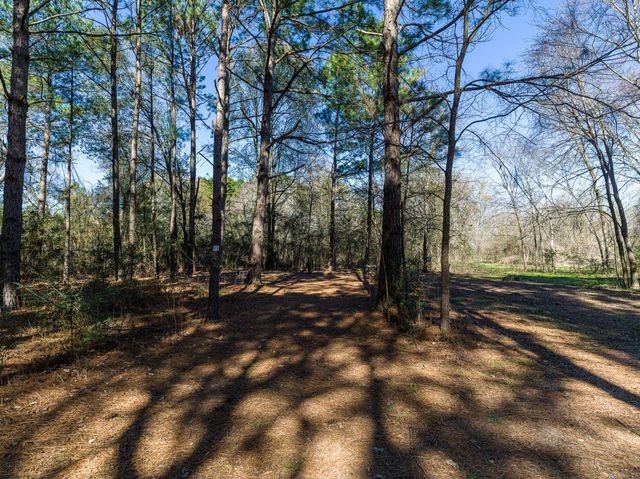 11201 County Road 203, Plantersville, TX 77363