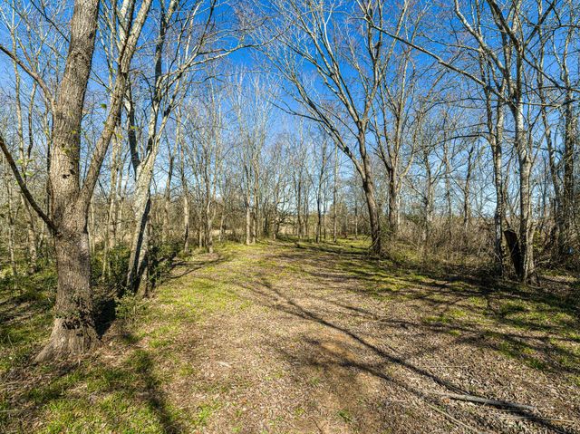 11201 County Road 203, Plantersville, TX 77363