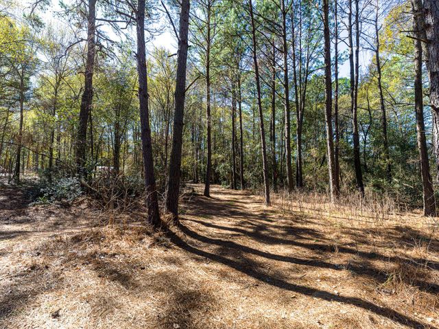 11201 County Road 203, Plantersville, TX 77363