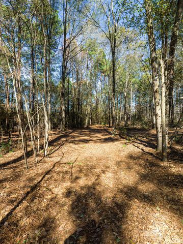 11201 County Road 203, Plantersville, TX 77363