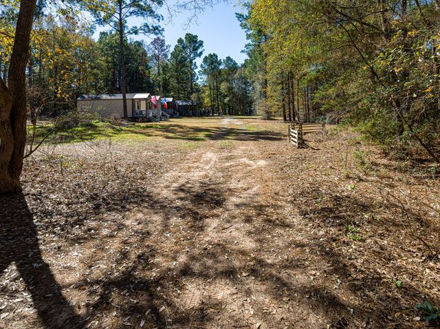 11201 County Road 203, Plantersville, TX 77363