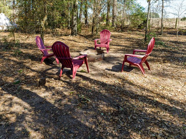11201 County Road 203, Plantersville, TX 77363