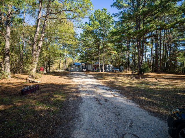 11201 County Road 203, Plantersville, TX 77363