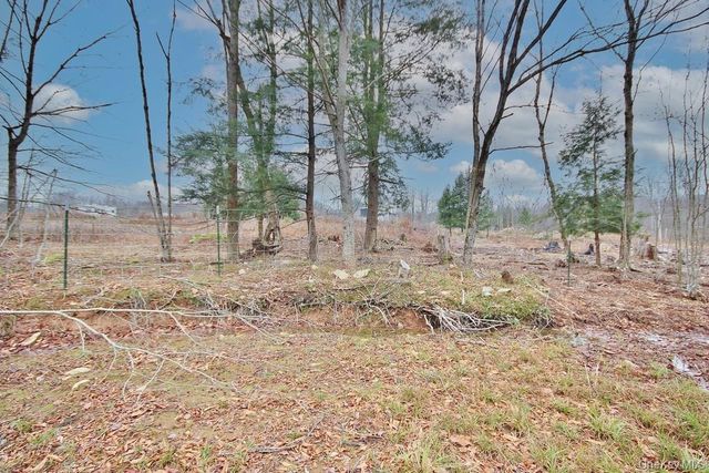 703 Dahlia Road, Livingston Manor, NY 12758