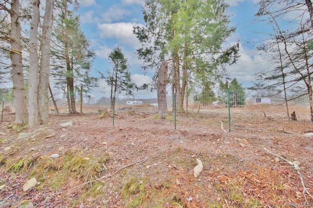 703 Dahlia Road, Livingston Manor, NY 12758