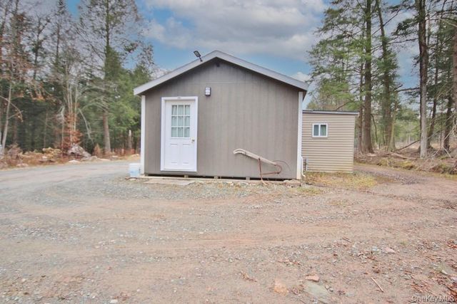 703 Dahlia Road, Livingston Manor, NY 12758