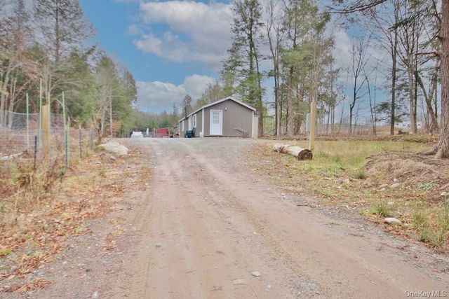 703 Dahlia Road, Livingston Manor, NY 12758