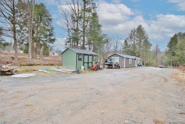 703 Dahlia Road, Livingston Manor, NY 12758