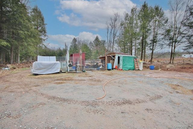 703 Dahlia Road, Livingston Manor, NY 12758