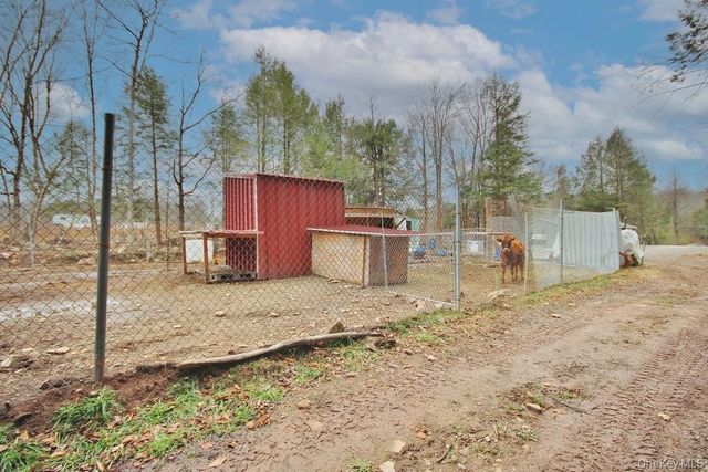 703 Dahlia Road, Livingston Manor, NY 12758