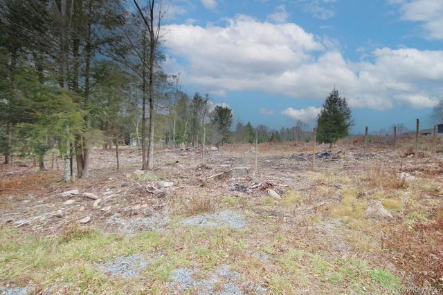 703 Dahlia Road, Livingston Manor, NY 12758