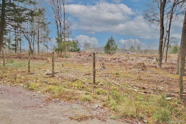 703 Dahlia Road, Livingston Manor, NY 12758