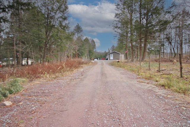 703 Dahlia Road, Livingston Manor, NY 12758