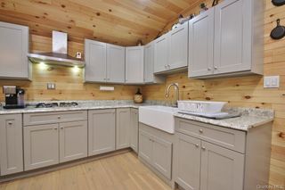 703 Dahlia Road, Livingston Manor, NY 12758