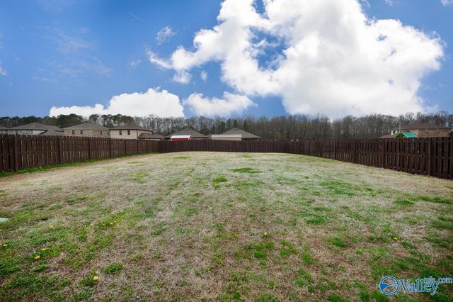 102 Hulsey Lane, Toney, AL 35773