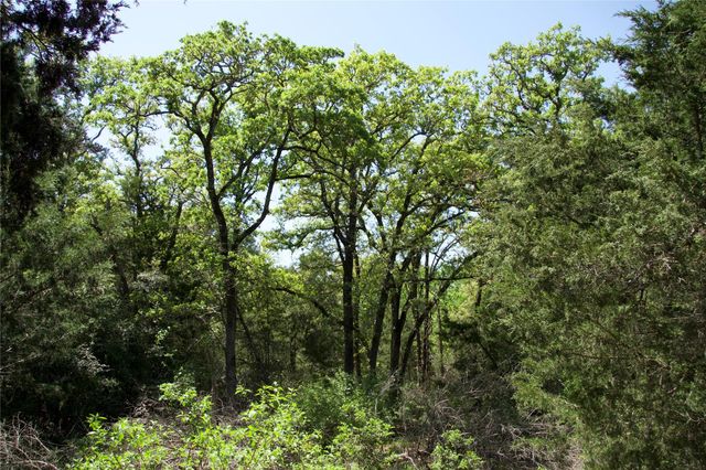 1035 Old Sayers Road, Elgin, TX 78621