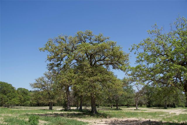 1035 Old Sayers Road, Elgin, TX 78621