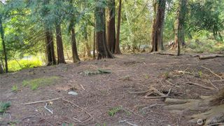 10130 Lookout Drive NW, Olympia, WA 98502