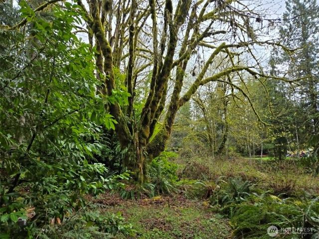 23208 Alder Drive, Granite Falls, WA 98252