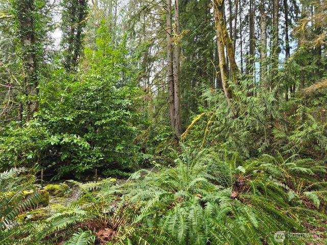 23208 Alder Drive, Granite Falls, WA 98252