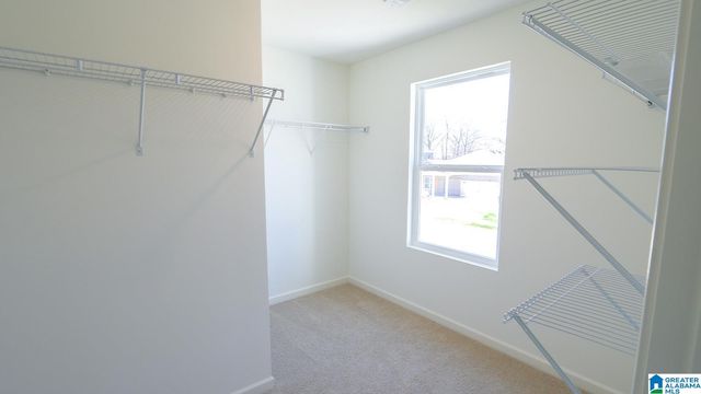 405 PEAVINE COVE, Alabaster, AL 35007