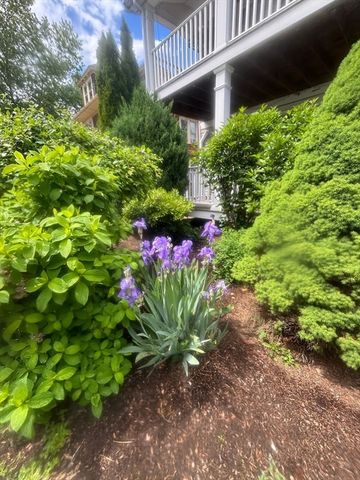 16 Sunset Rd 1, Watertown, MA 02472