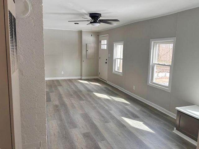 207 N Osmun Street, Greenville, MI 48838
