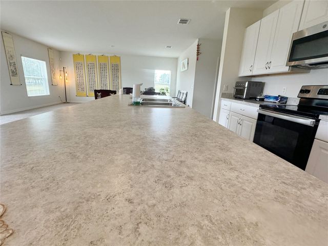 583 BLACK EAGLE DRIVE, Groveland, FL 34736