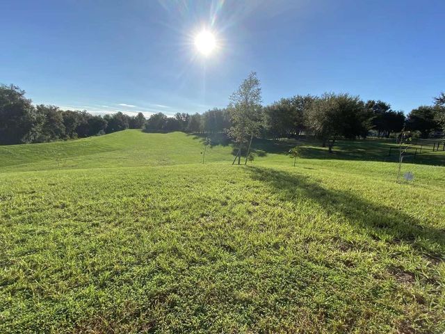 583 BLACK EAGLE DRIVE, Groveland, FL 34736