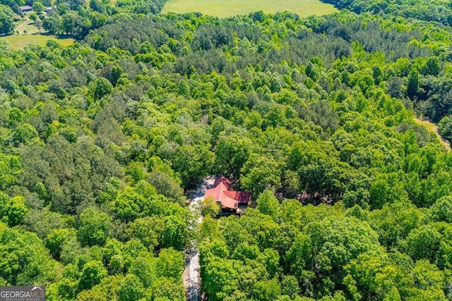 695 N Jonesville Road, Bowdon, GA 30108