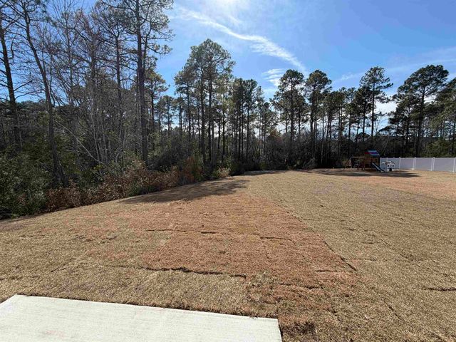 7160 Shooting Star Way, Myrtle Beach, SC 29579