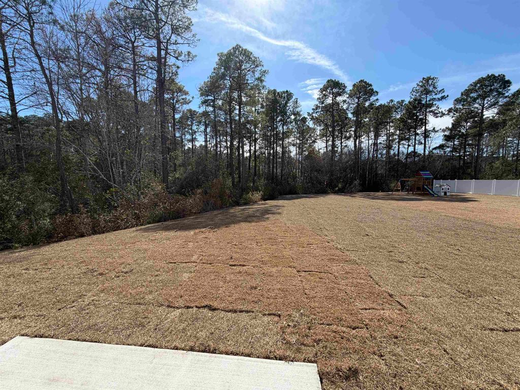 7160 Shooting Star Way, Myrtle Beach, SC 29579 — photo 2