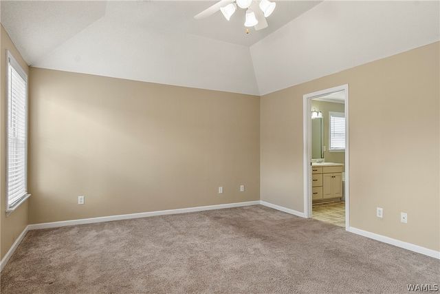 2011 Lenox, Tuscaloosa, AL 35405
