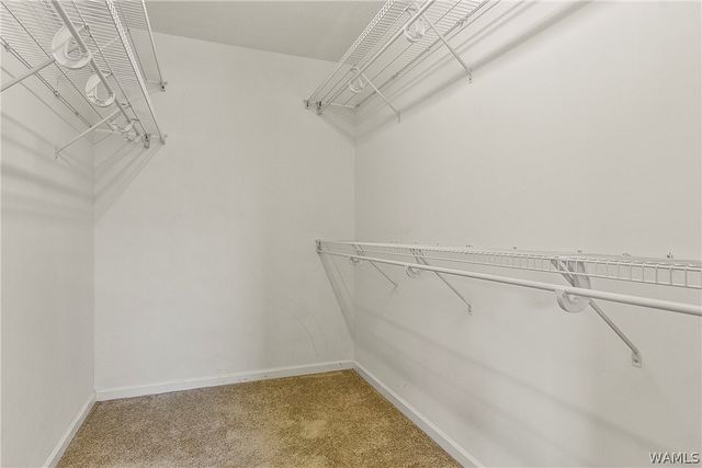 2011 Lenox, Tuscaloosa, AL 35405