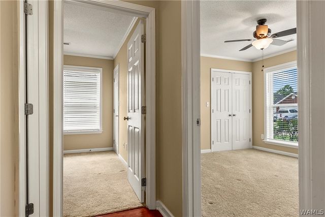 2011 Lenox, Tuscaloosa, AL 35405
