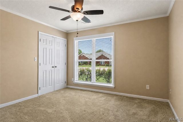 2011 Lenox, Tuscaloosa, AL 35405