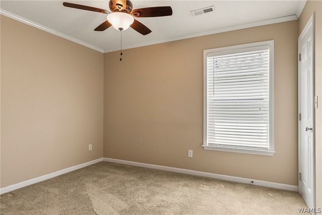 2011 Lenox, Tuscaloosa, AL 35405