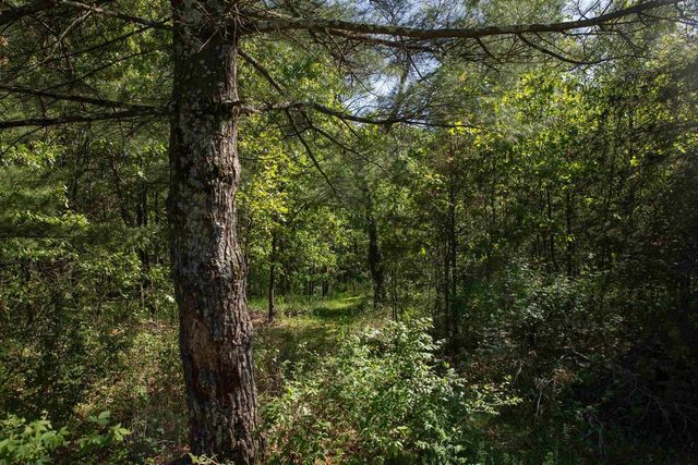 W7961 County Rd E, Oxford, WI 53952