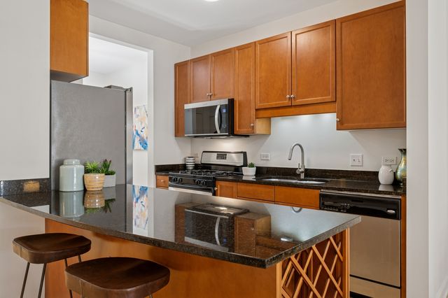 1133 S State Street 401B, Chicago, IL 60605