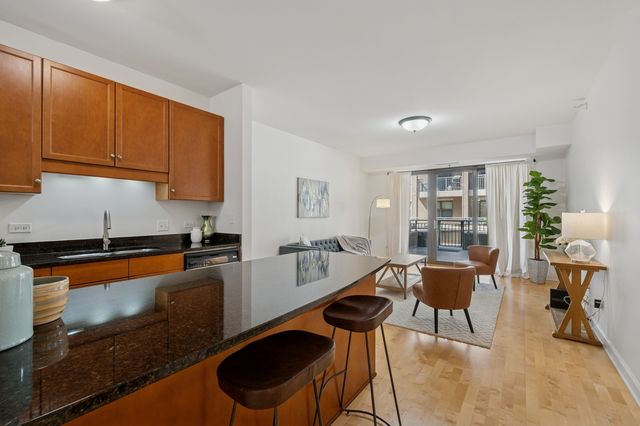 1133 S State Street 401B, Chicago, IL 60605