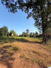 004 SERENITY LANE, Alpine, AL 35014