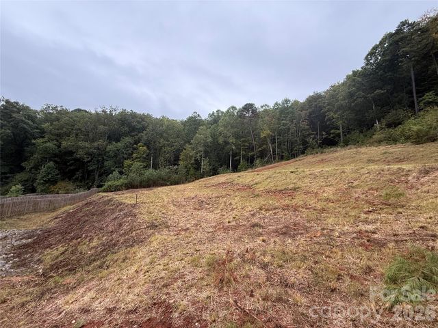 87 Starwood Valley Trail, Arden, NC 28704