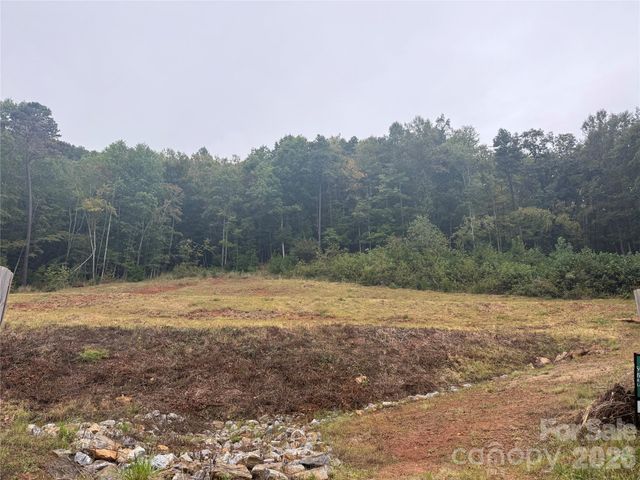 87 Starwood Valley Trail, Arden, NC 28704